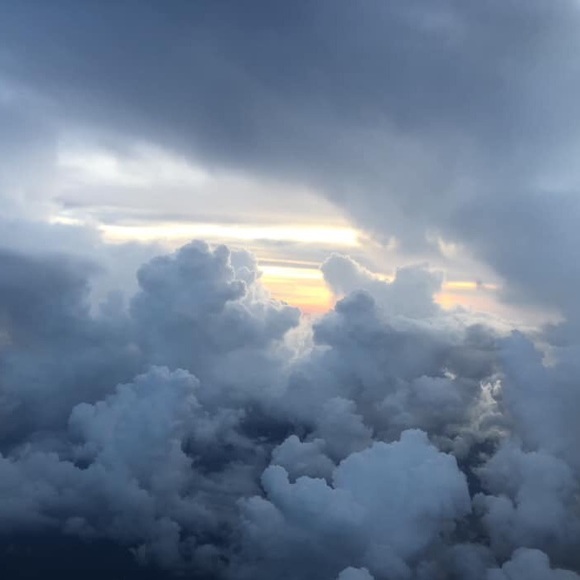 Meet your Posher, Jill - Picture 1 of 1